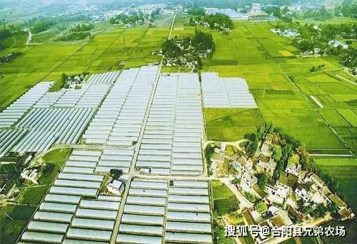 打造農(nóng)業(yè)發(fā)展新動(dòng)能 2020江西省農(nóng)業(yè)發(fā)展大會(huì)側(cè)記