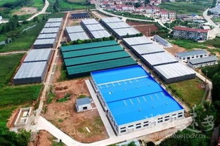 遠(yuǎn)安鄉(xiāng)村 看 顏值 更看 氣質(zhì)