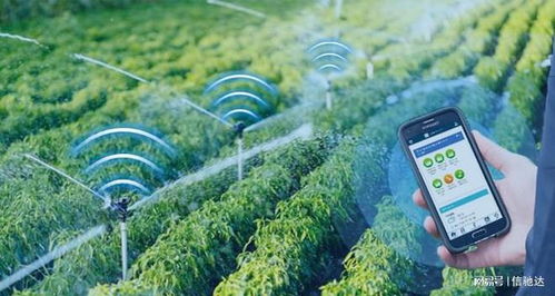 無線物聯助力農業灌溉系統智能化