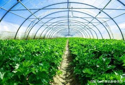 招商啦!上猶縣水巖鄉生態農業產業基地建設招商推介書!