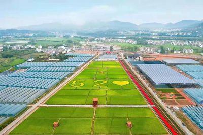 喜報!于都這項(xiàng)成績蟬聯(lián)第一!