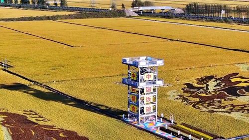 數(shù)說新中國75年 農(nóng)業(yè)發(fā)展闊步前行 現(xiàn)代農(nóng)業(yè)譜寫新篇