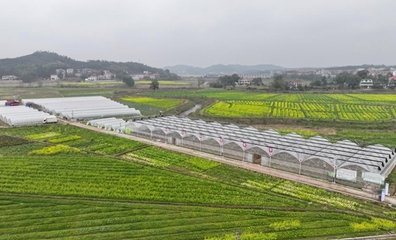 不負(fù)春耕好時光 育秧大棚生產(chǎn)忙