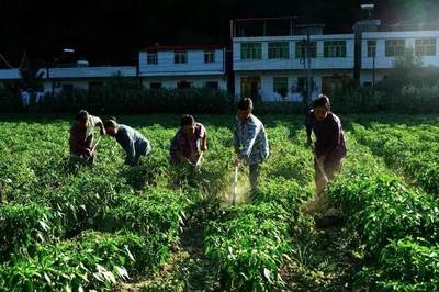 竹溪縣天寶鄉(xiāng),無限風光在&ldquo;大峽&rdquo;