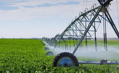 【海外農業(yè)】以色列農業(yè)對中國農業(yè)創(chuàng)新的啟示