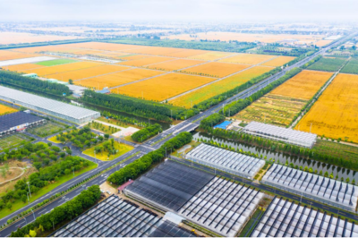 江蘇海安:深耕農業(yè)園 在現(xiàn)代農業(yè)發(fā)展道路上闊步前進