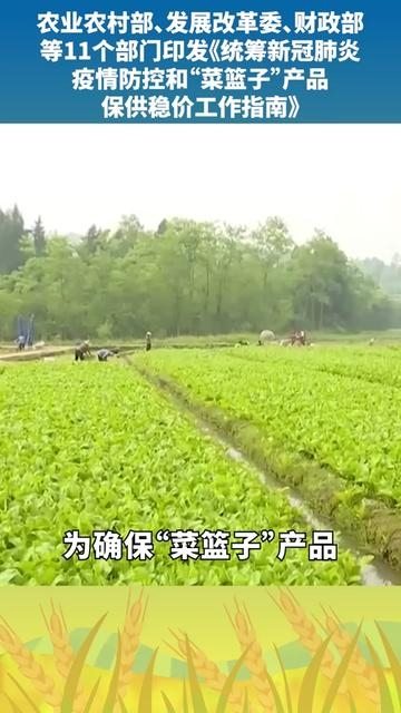農業農村部 發展改革委 財政部等11個部門印發統籌新冠肺炎疫情防控和 菜籃子 產品保供穩價工作指南