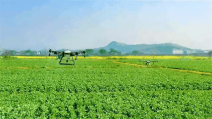 農(nóng)業(yè)科學(xué)推動(dòng)農(nóng)業(yè)開發(fā)的創(chuàng)新與可持續(xù)發(fā)展