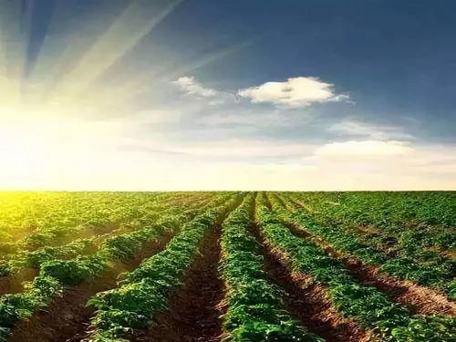 農(nóng)業(yè)為國(guó)之根本 未來農(nóng)業(yè)開發(fā)的小趨勢(shì)