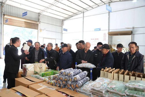 喜迎重陽(yáng) 農(nóng)業(yè)開發(fā)中的安康中院老前輩佳節(jié)紀(jì)念