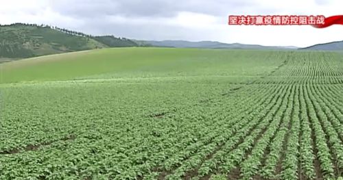 構(gòu)筑特色農(nóng)業(yè)新優(yōu)勢(shì)，以產(chǎn)業(yè)發(fā)展促鄉(xiāng)村振興