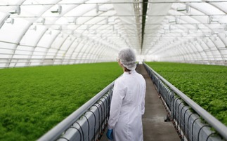 有機農(nóng)業(yè)發(fā)展緩慢的深層原因與挑戰(zhàn)