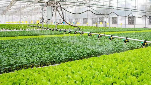 從會種地走向慧種地 稅費優(yōu)惠賦能農(nóng)業(yè)現(xiàn)代化發(fā)展