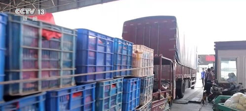 一季度農業農村經濟實現開門穩開門紅，發展勢頭持續向好