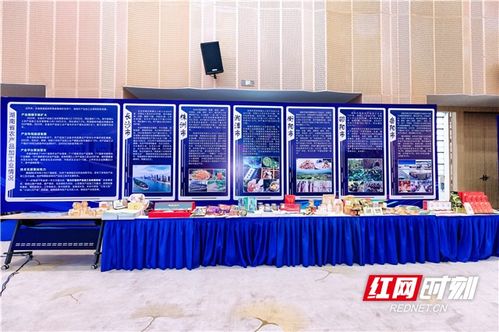 農博現場丨簽約金額超45億，湖南農業招商引資對接會助力中部農產品加工業發展