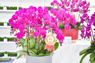 花漾生活，融合自然與日常——第三屆廣州國際(流溪)花卉博覽會側(cè)記